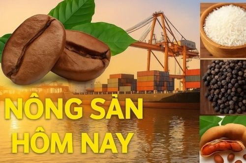 Giá nông sản hôm nay 23/10/2026: Giá cà phê đỏ sàn, xu hướng đảo chiều dài hạn bắt đầu? Sàn thương mại điện tử Trung Quốc 'ngấm' thuế mới từ EU