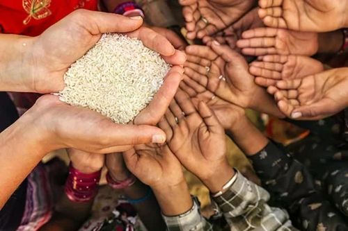 Khủng hoảng lương thực có thể nối tiếp khủng hoảng năng lượng
