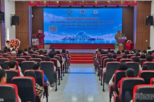 Hải Phòng: Tìm giải pháp nâng cao năng suất, chất lượng doanh nghiệp và thúc đẩy liên kết vùng