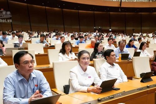 Cơ quan thẩm tra của Quốc hội chỉ ra bất hợp lý trường tư học phí cao, có lợi nhuận nhưng được đề xuất miễn thuế