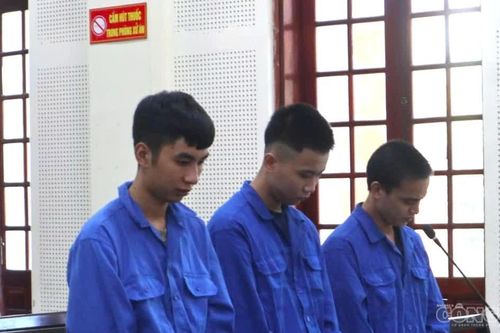 Gã trai giấu ma túy trong chuồng gà