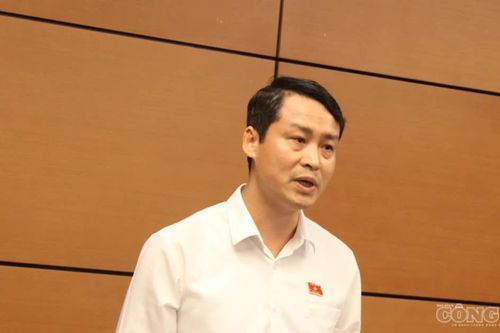 Sai sót trong đấu thầu: Phải làm rõ trách nhiệm của đơn vị tư vấn