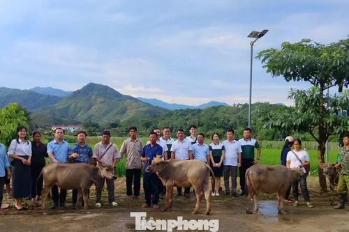 Lào Cai: Dân đăng ký quyết tâm thoát nghèo, xã kêu gọi doanh nghiệp tặng 'đầu cơ nghiệp'