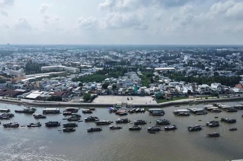 Doanh nghiệp 'siêu nhỏ' tăng mạnh