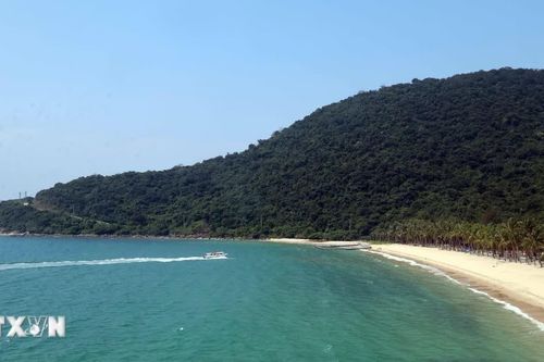 Đà Nẵng bảo tồn đa dạng sinh học để xây dựng đô thị biển sinh thái quốc tế