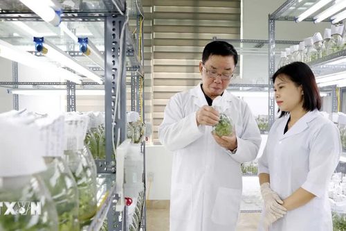 Nhận diện xu hướng, chuyển từ đáp ứng tiêu chuẩn sang tiêu chuẩn dẫn dắt