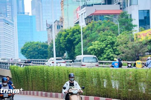 Sửa Luật Bảo vệ môi trường: Cắt giảm thủ tục, thúc đẩy chuyển đổi xanh