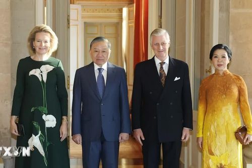 Tổng Bí thư, Chủ tịch nước Tô Lâm hội kiến Nhà vua Vương quốc Bỉ Philippe