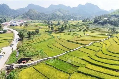 Rà soát tiêu chí, xây dựng lộ trình xây dựng nông thôn mới