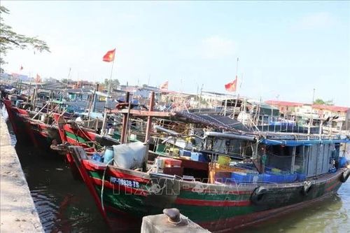 Khắc phục 'thẻ vàng' IUU: Hải Phòng chuẩn hóa 100% dữ liệu tàu cá