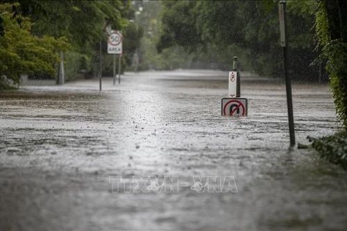 Australia đóng cửa trường học do lũ quét