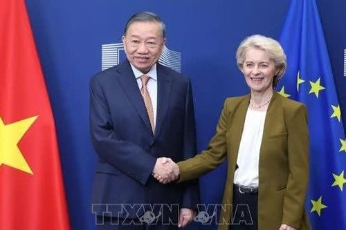 Những bước tiến thực chất trong quan hệ Việt Nam - EU