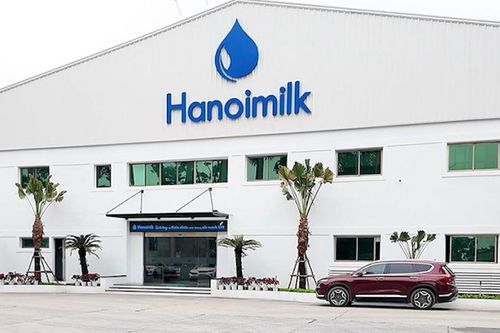 Doanh thu tăng hai chữ số, lợi nhuận 9 tháng của Hanoimilk gần như giậm chân tại chỗ