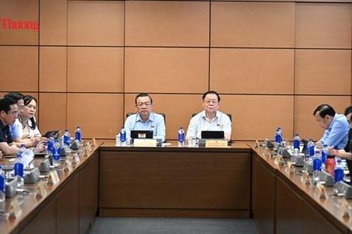 Luật Đấu thầu (sửa đổi): Tăng tự chủ phải đi cùng kiểm soát