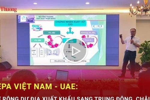 CEPA Việt Nam - UAE: Mở rộng dư địa xuất khẩu sang Trung Đông, châu Phi
