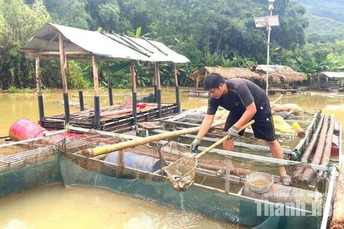 Chông chênh cùng con nước