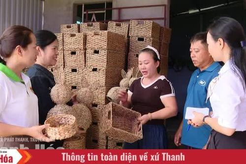 Chuyện giữ nghề của những người yêu cói
