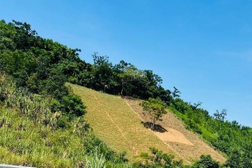 Đề xuất điều chỉnh 4.006,38 ha diện tích tự nhiên thuộc tỉnh Phú Thọ về TP.Hà Nội