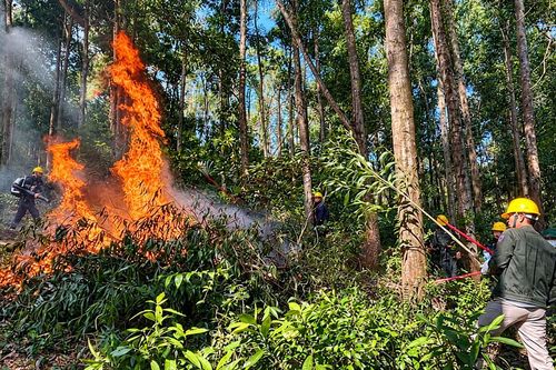 Bắc Ninh: Gia tăng nguy cơ cháy rừng ở nhiều địa phương