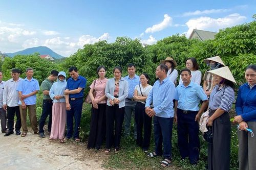 Nâng cao năng lực quản lý mã số vùng trồng, mã số cơ sở đóng gói cho cán bộ khuyến nông