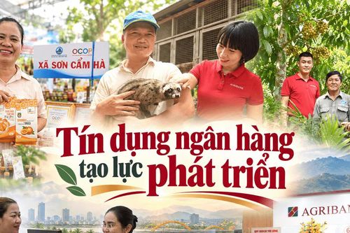 Tín dụng ngân hàng tạo lực phát triển
