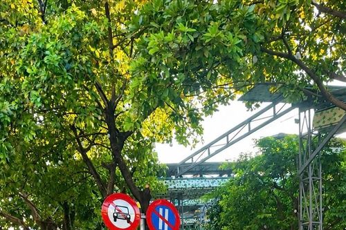 Tháo gỡ điểm nghẽn giao thông tại cầu Bà Xí
