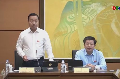 Đại biểu Quốc hội tỉnh tham gia ý kiến vào các dự án luật về ngân sách, đấu thầu và thuế