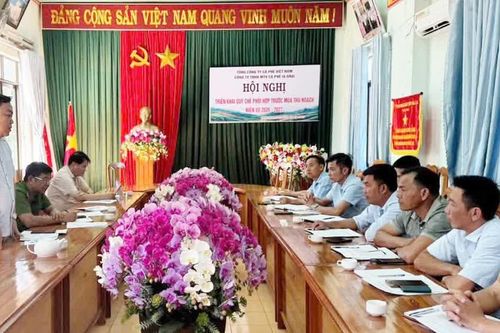 Ia Hrung tăng cường bảo đảm an ninh, trật tự mùa thu hoạch cà phê