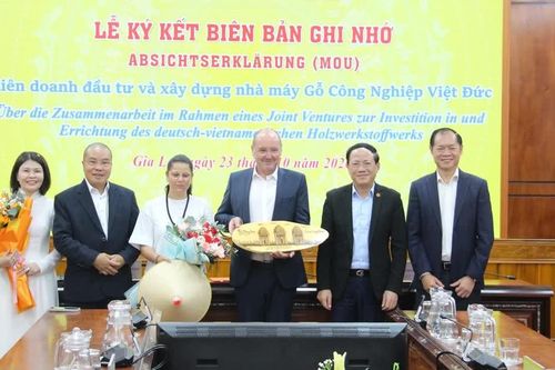 Gia Lai cam kết đồng hành, tạo điều kiện thuận lợi cho nhà đầu tư Đức