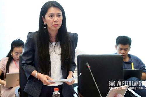 Đoàn đại biểu Quốc hội tỉnh góp ý các dự án luật thuộc lĩnh vực tài chính, tư pháp