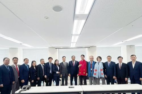 Đoàn đại biểu tỉnh Lào Cai làm việc với JETRO Osaka (Nhật Bản)
