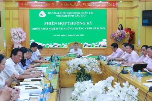 Ban Đại diện Hội đồng quản trị Ngân hàng Chính sách xã hội tỉnh Lào Cai triển khai nhiệm vụ những tháng cuối năm