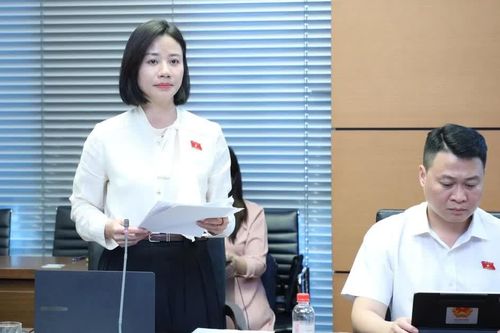 Đại biểu Quốc hội tỉnh Lào Cai kiến nghị siết kỷ luật ngân sách, hoàn thiện chính sách thuế