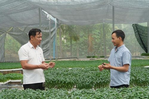 Quảng Phú phát huy lợi thế, phát triển nông nghiệp công nghệ cao