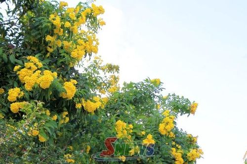 Dịu dàng tháng mười