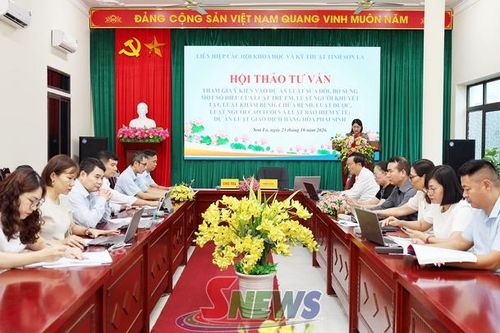 Hội thảo tư vấn tham gia đóng góp ý kiến vào các dự thảo luật