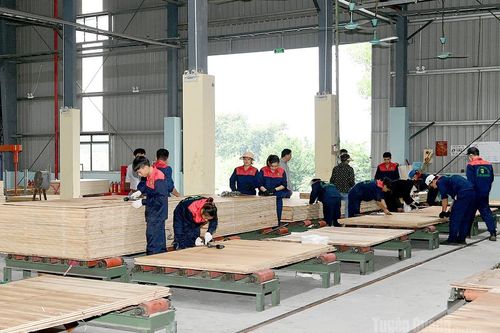 Doanh nghiệp nỗ lực vượt khó, tăng tốc sản xuất cuối năm