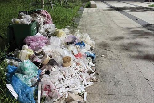 'Phạt nguội' hành vi xả rác bừa bãi