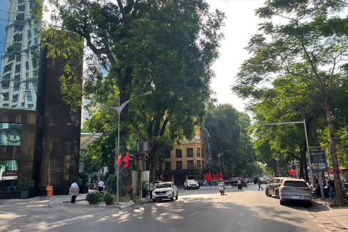 Hà Nội cấm ô tô rẽ trái tại nút giao Lê Đại Hành - Mai Hắc Đế giờ cao điểm