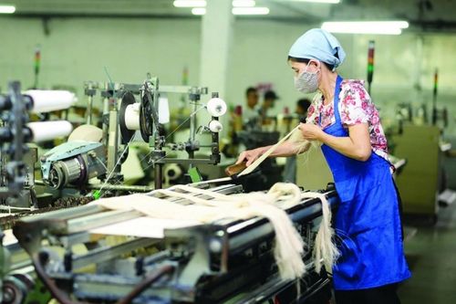 Dệt may giữ đà xuất khẩu, đối mặt sức ép chi phí