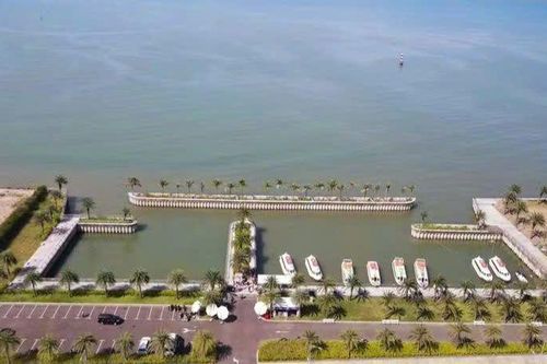Gia Lai thí điểm taxi bay: Công nghệ mới gắn với trách nhiệm môi trường