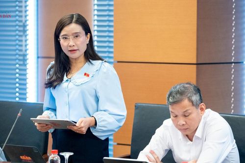 Sửa luật trong tình huống khẩn cấp - cần bảo đảm cơ chế kiểm soát quyền lực tương xứng
