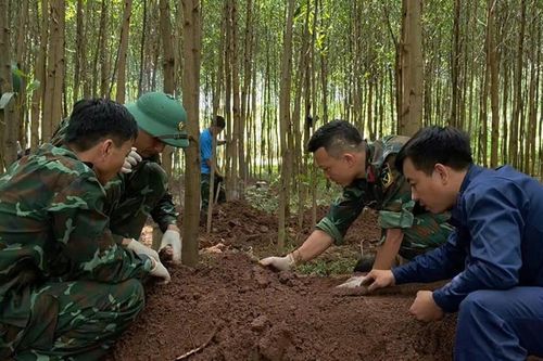 Quy tập 20 hài cốt liệt sĩ tại khu vực rừng tràm Quảng Trị