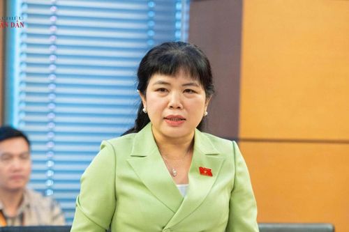 Quy định rõ giới hạn thẩm quyền ban hành chính sách đặc thù, ngăn chặn phát sinh thủ tục hành chính