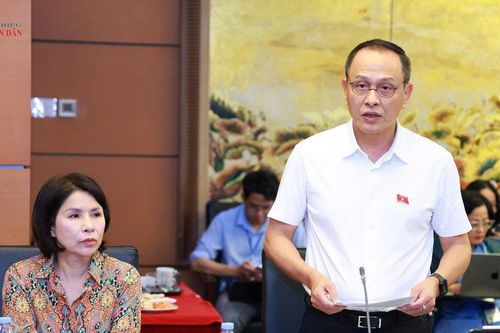 Hoàn thiện quy định về đấu thầu, bảo đảm thống nhất trong thực thi
