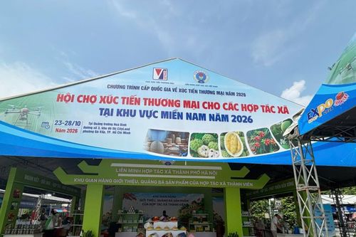 155 gian hàng hợp tác xã khai hội tại TP.HCM