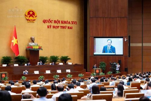 Quốc hội thảo luận về Luật Đấu thầu (sửa đổi)