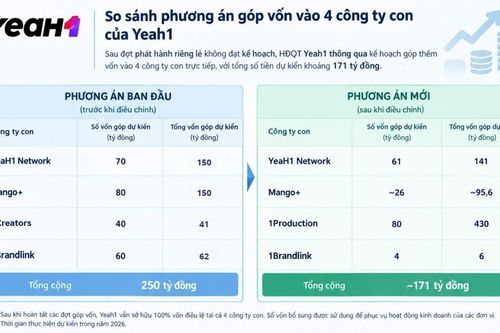 Yeah1 điều chỉnh phương án sử dụng 170 tỷ đồng thu từ phát hành riêng lẻ