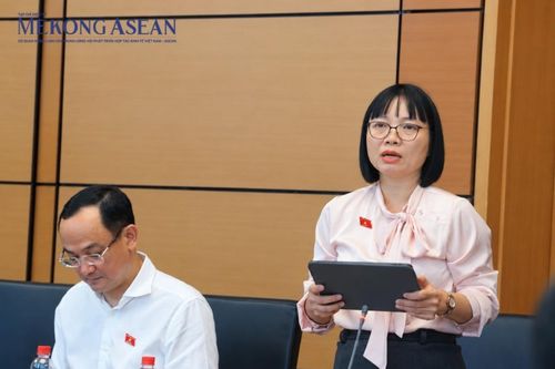Đại biểu Quốc hội: Cần làm rõ đối tượng chịu thuế đất bỏ hoang