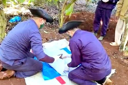 Phát hiện hài cốt liệt sĩ quân tình nguyện Việt Nam trong rẫy cà phê ở Lào